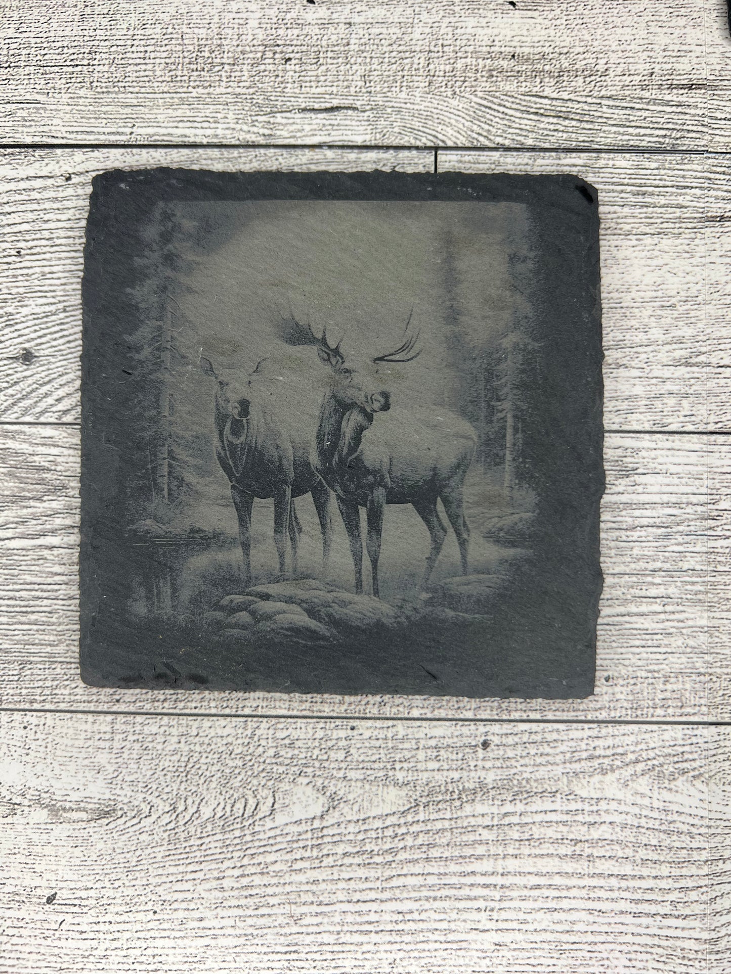 Square Slate Coaster "Nature & Animals"