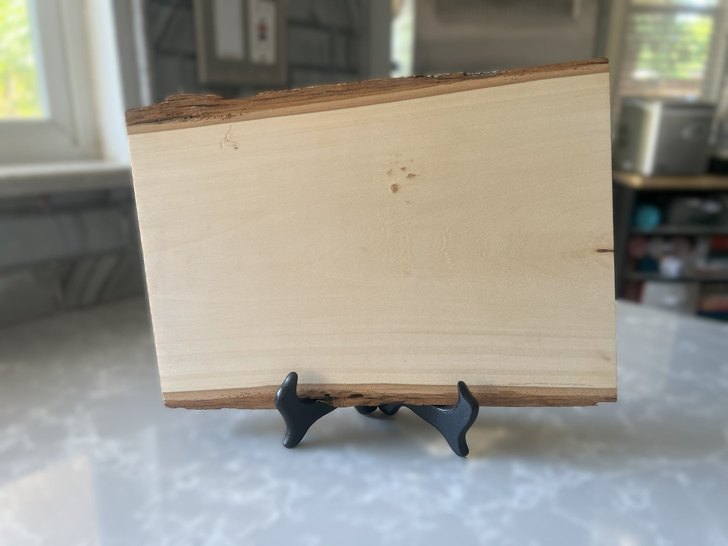 Live Edge Display "Stay Salty"