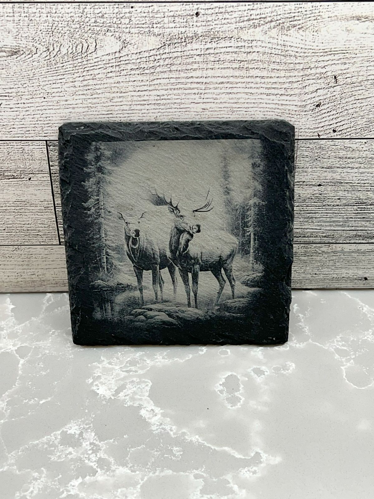 Square Slate Coaster "Nature & Animals"