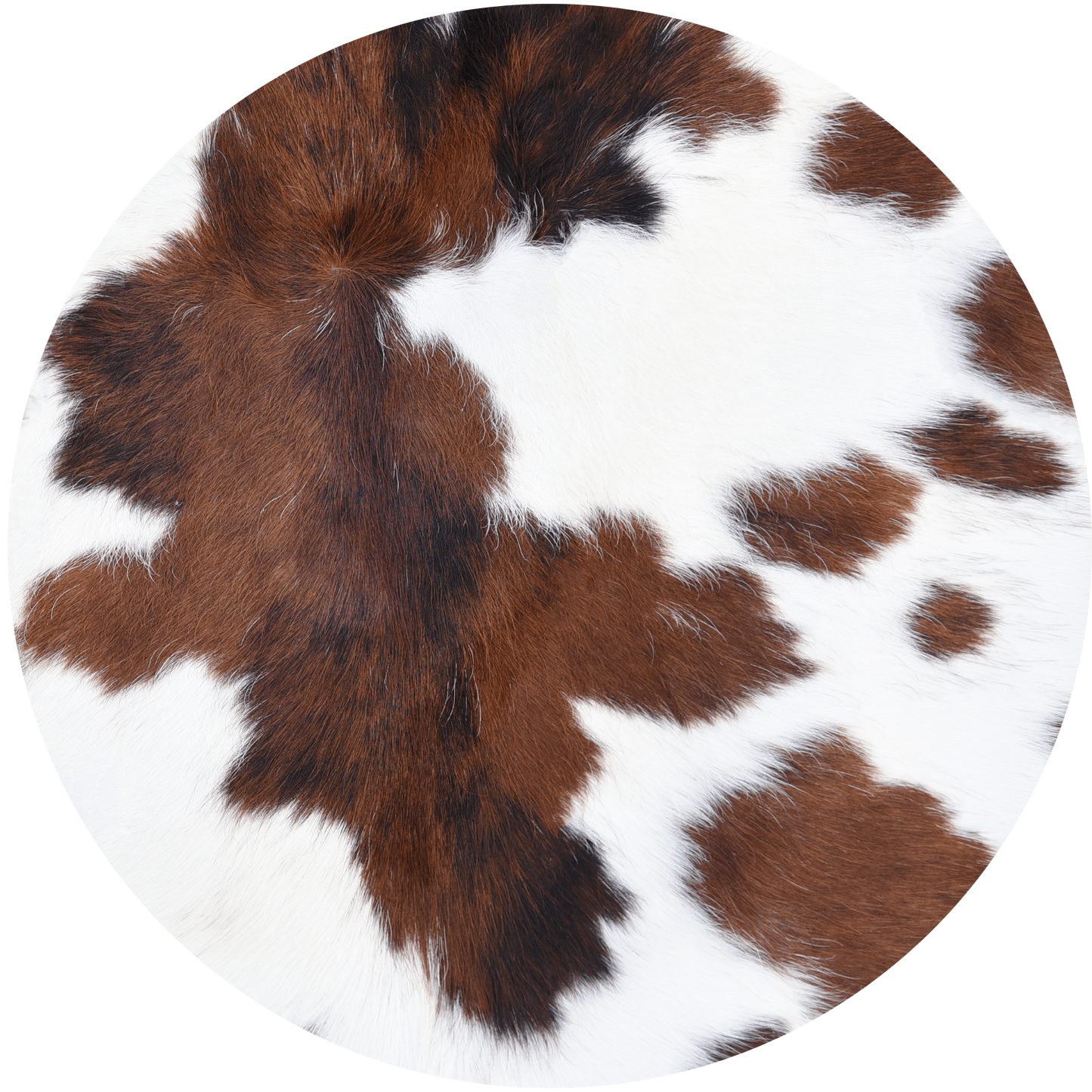 4" Round Ceramic Coaster - Animal Theme